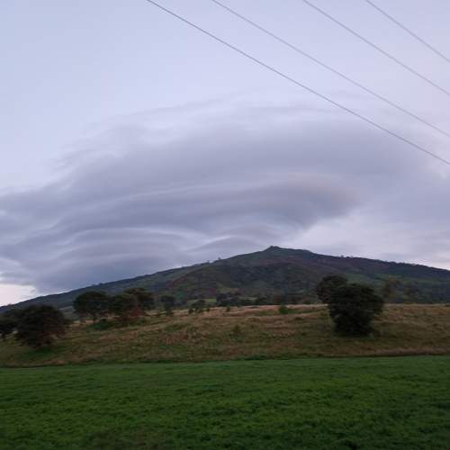 Photo #6017458