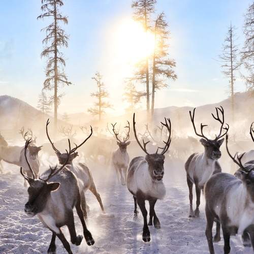 Photo #6017463