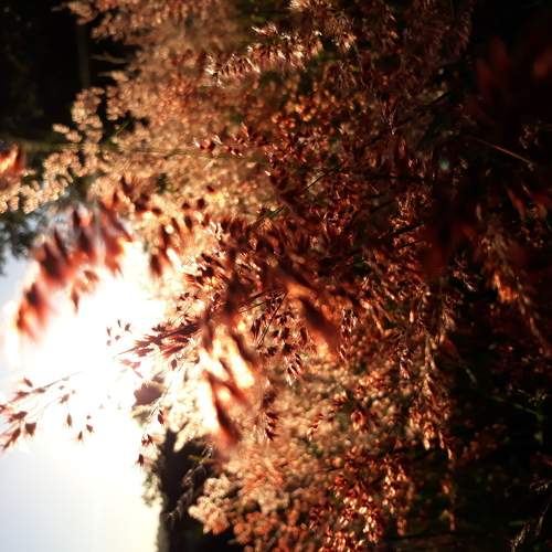 Photo #6017625