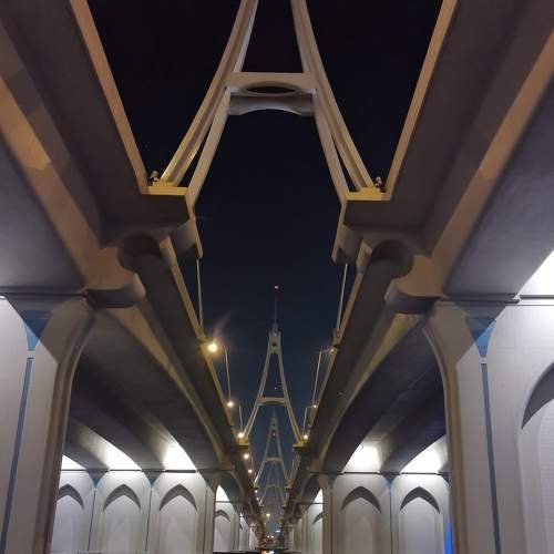 Photo #6018017