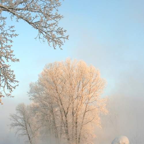 Photo #6018213
