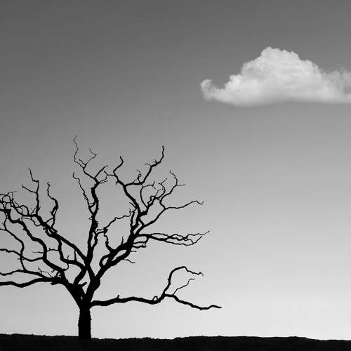 Strong tree