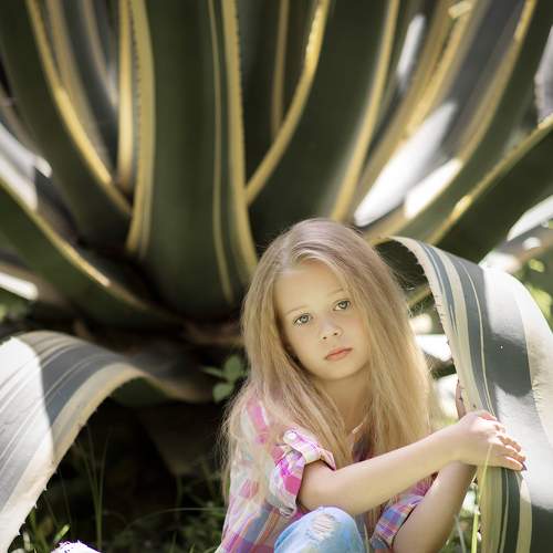 Photo #6019645