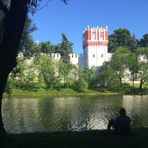 Photo #6019786