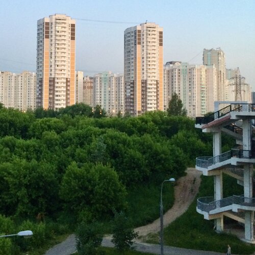 Photo #6019787