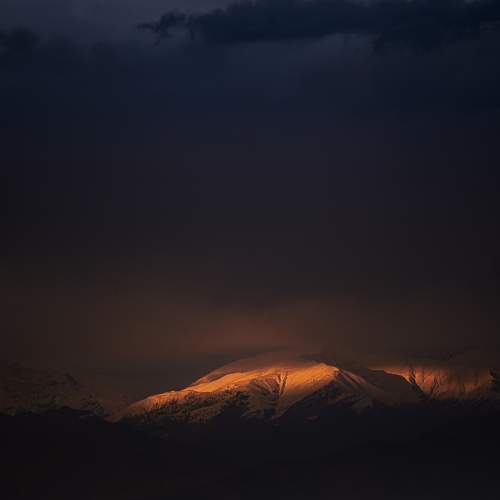 Photo #6020130