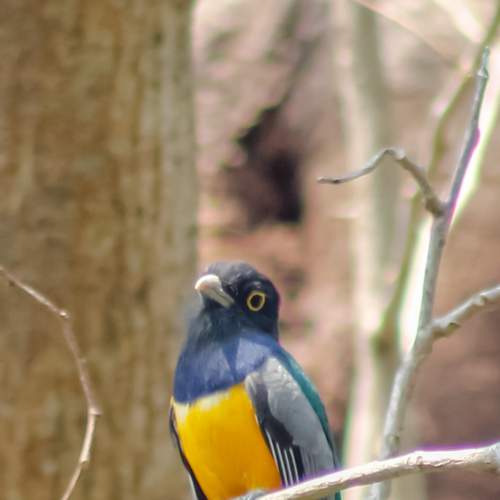 Photo #6020573