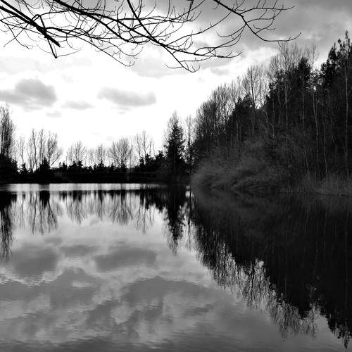 Photo #6020616