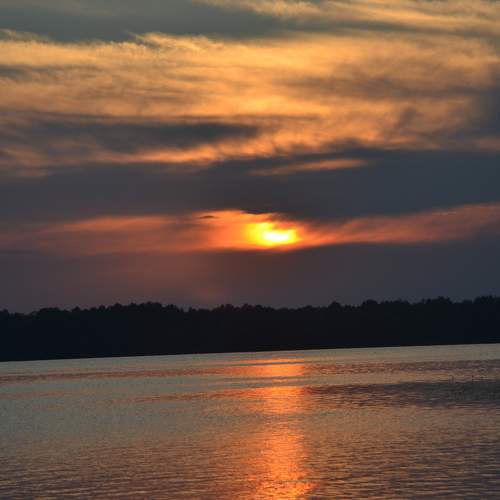 Photo #6021332