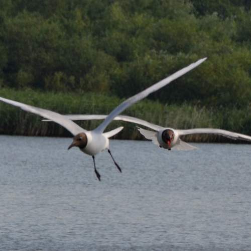Photo #6021339
