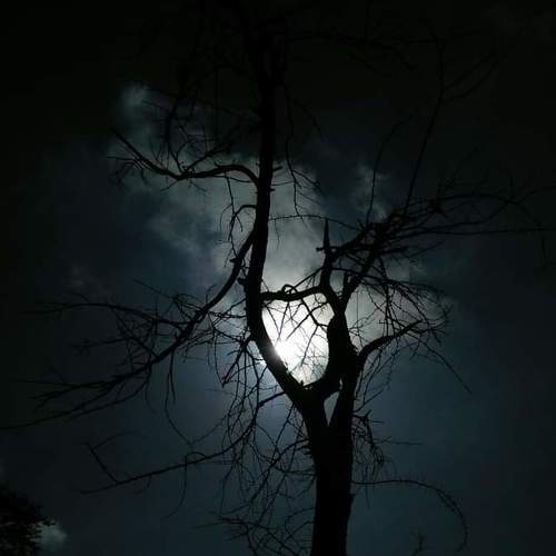 Mobile photography. Heart , Love