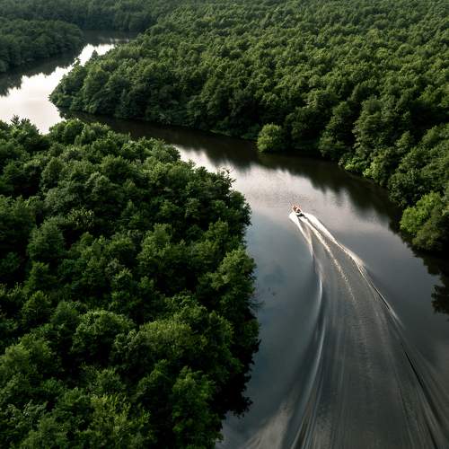 Photo #6022191