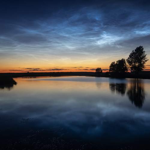 Photo #6023571