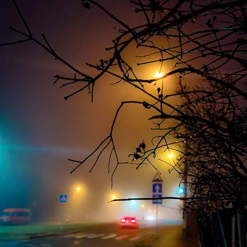 Photo #6023602