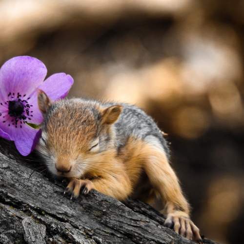 Photo #6025259