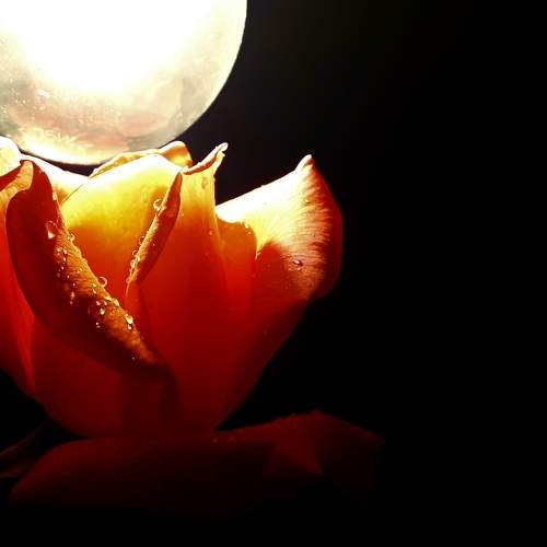 Photo #6025789