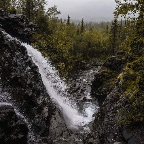 Photo #6025965