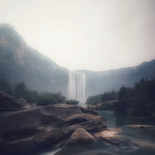 Photo #6026053