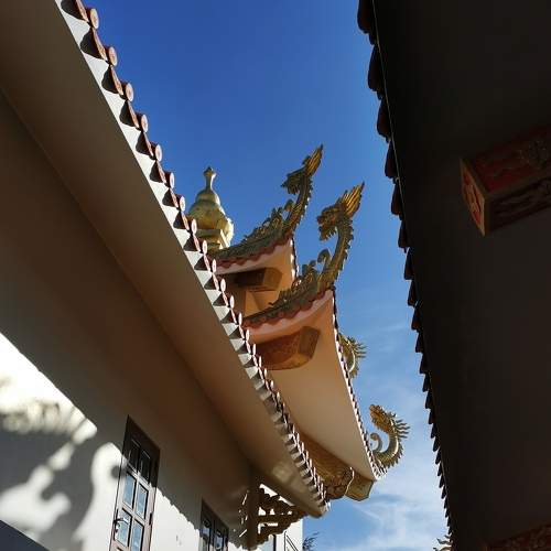 Photo #6026057