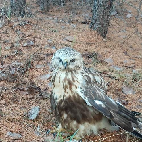 Photo #6026869