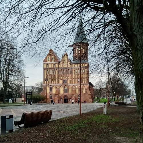 Photo #6027262
