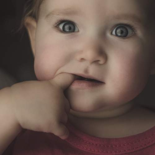 Photo #6027506