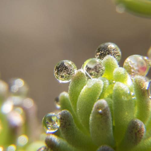 Photo #6027785