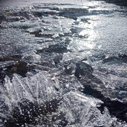 Photo #6027822