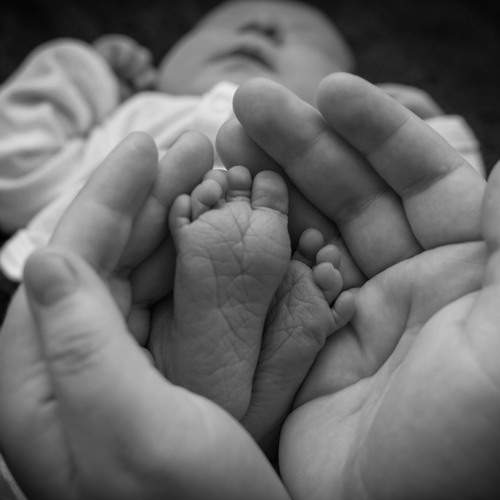 Photo #6028243