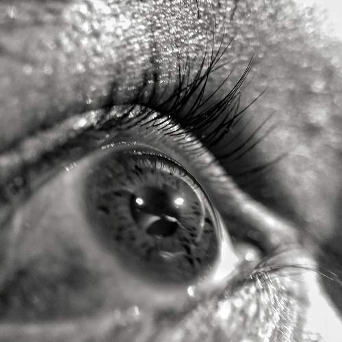 Photo #6028246