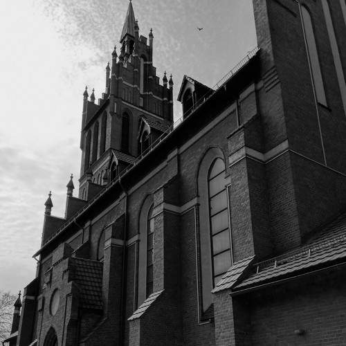 Photo #6028883