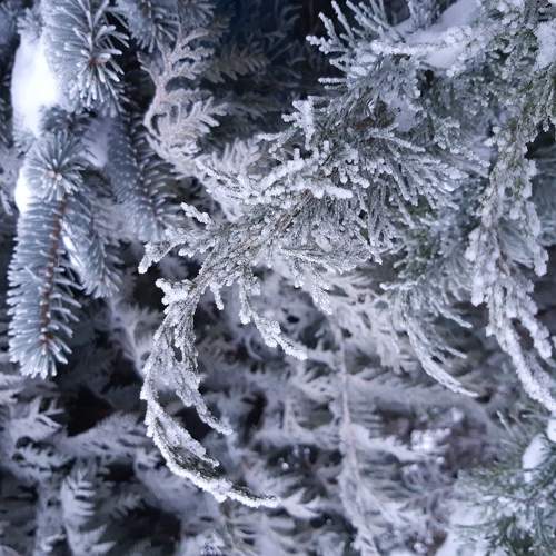 Photo #6029116