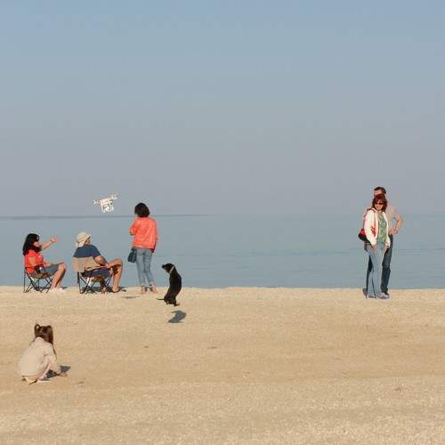 Photo #6029195