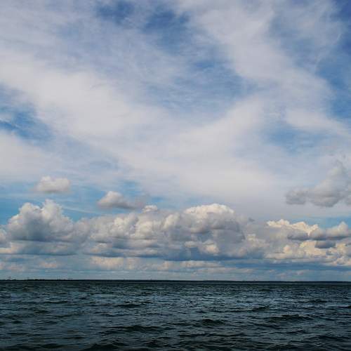Photo #6029364