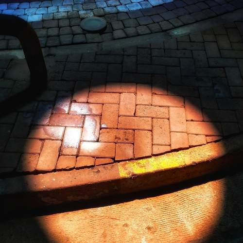 Photo #6030310
