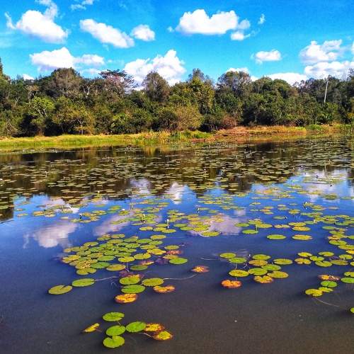 Photo #6030346