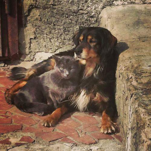 Photo #6030582