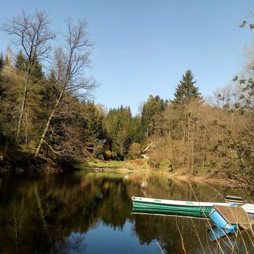 Photo #6031150