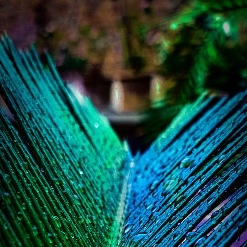 Photo #6031436