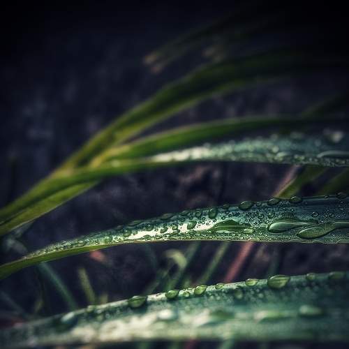 Photo #6031440