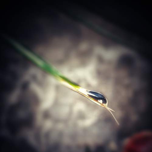 Photo #6031444