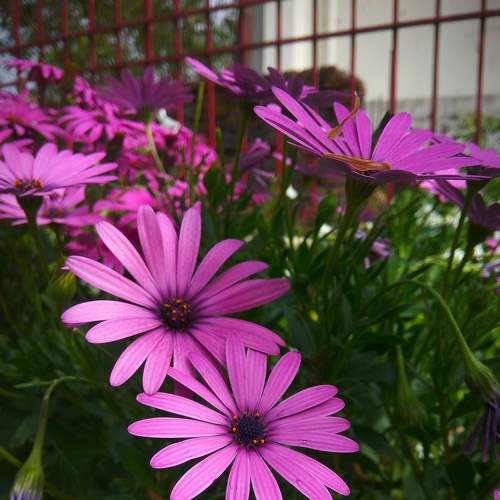 Photo #6031954