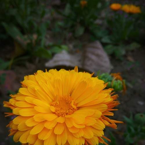 Photo #6031956