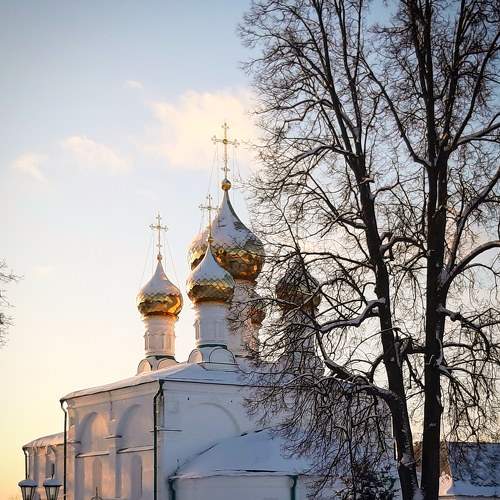 Photo #6032199