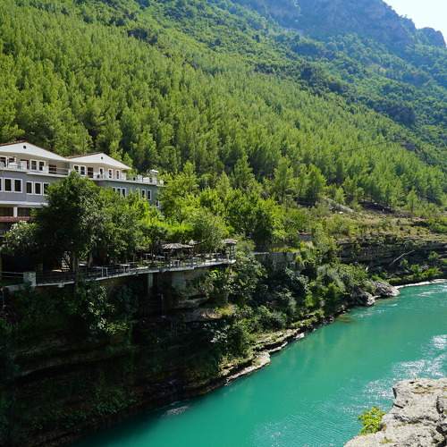 Photo #6032273