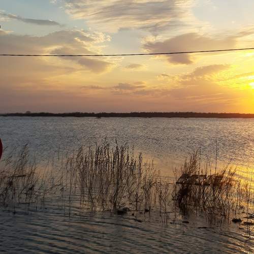 Photo #6032409