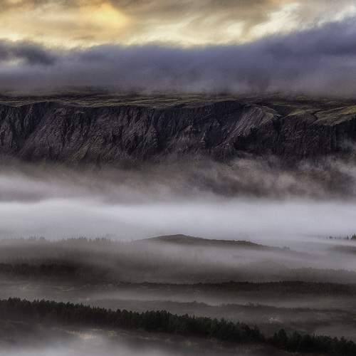 Photo #6032570