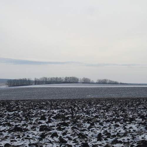 Photo #6032580