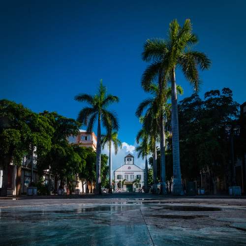Photo #6032665