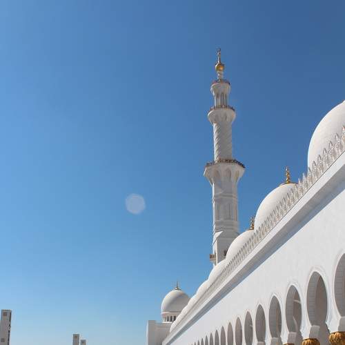 Photo #6032737